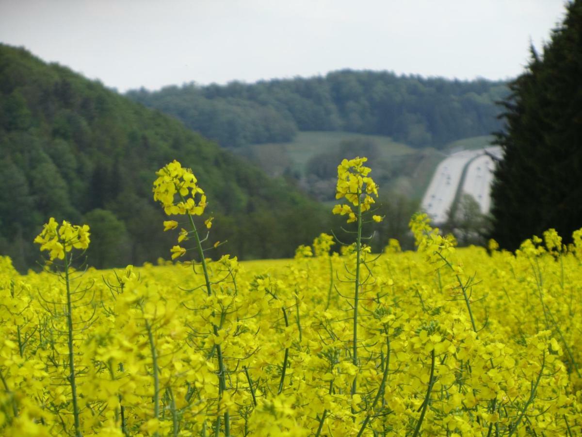 Ferienwohnung Brunow "In Der Natur Zuhause" Neundorf  ภายนอก รูปภาพ